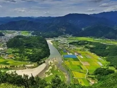 住房城鄉(xiāng)建設(shè)部標(biāo)準(zhǔn)定額司關(guān)于征求行業(yè)標(biāo)準(zhǔn) 《城市園林綠化監(jiān)督管理信息系統(tǒng)工程技術(shù)標(biāo)準(zhǔn)》意見(jiàn)的函