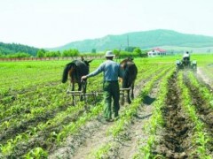 廣東省三調(diào)辦召開全省三調(diào)復(fù)核整改工作會(huì)議