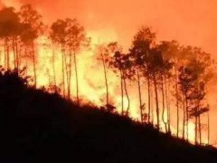 山火面前，測繪地信能否開啟綠色生命通道