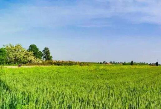 新疆第三次全國(guó)國(guó)土調(diào)查：9月初全面完成&ldquo;回頭看&rdquo;