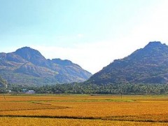 我國自然資源資產(chǎn)交易的三大趨勢