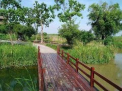 民生地質(zhì)成自然資源產(chǎn)業(yè)新風(fēng)口，去年投資同比增44%