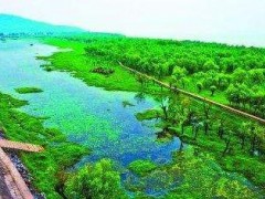 廣西推動自然資源系統(tǒng)治理