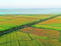 山東自然資源系統(tǒng)：實(shí)現(xiàn)“以圖管地”“以地招商”