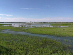 國家發(fā)展改革委：下達35億元中央投資 治理重點流域水環(huán)境