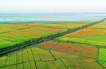 青島市基本完成自然資源數(shù)據(jù)對(duì)照關(guān)系 探索建立自然資源管理調(diào)查監(jiān)測(cè)的&ldquo;一張底圖&rdquo;