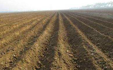 歷時21年！我國完成覆蓋全域高精度&ldquo;數(shù)字土壤&rdquo;創(chuàng)建