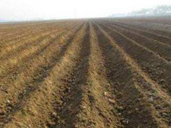 歷時21年！我國完成覆蓋全域高精度“數(shù)字土壤”創(chuàng)建