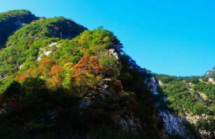 陜西今年將啟動(dòng)秦嶺區(qū)域生態(tài)遙感專項(xiàng)監(jiān)測(cè)