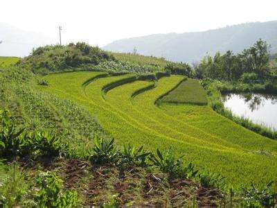 三調(diào)耕地坡度調(diào)查成果核查&ldquo;路線(xiàn)圖&rdquo;發(fā)布