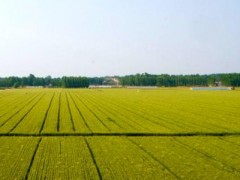 湘潭市統(tǒng)籌推進(jìn)全市農(nóng)村房地一體確權(quán)登記頒證工作