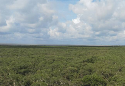 《2019年北海區(qū)生態(tài)保護(hù)修復(fù)報(bào)告》編制完成