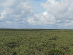 《2019年北海區(qū)生態(tài)保護(hù)修復(fù)報(bào)告》編制完成