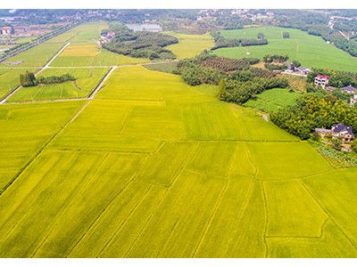 智慧自然資源管理